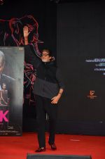 Amitabh Bachchan at Pink promotions in Umang fest on 17th Aug 2016